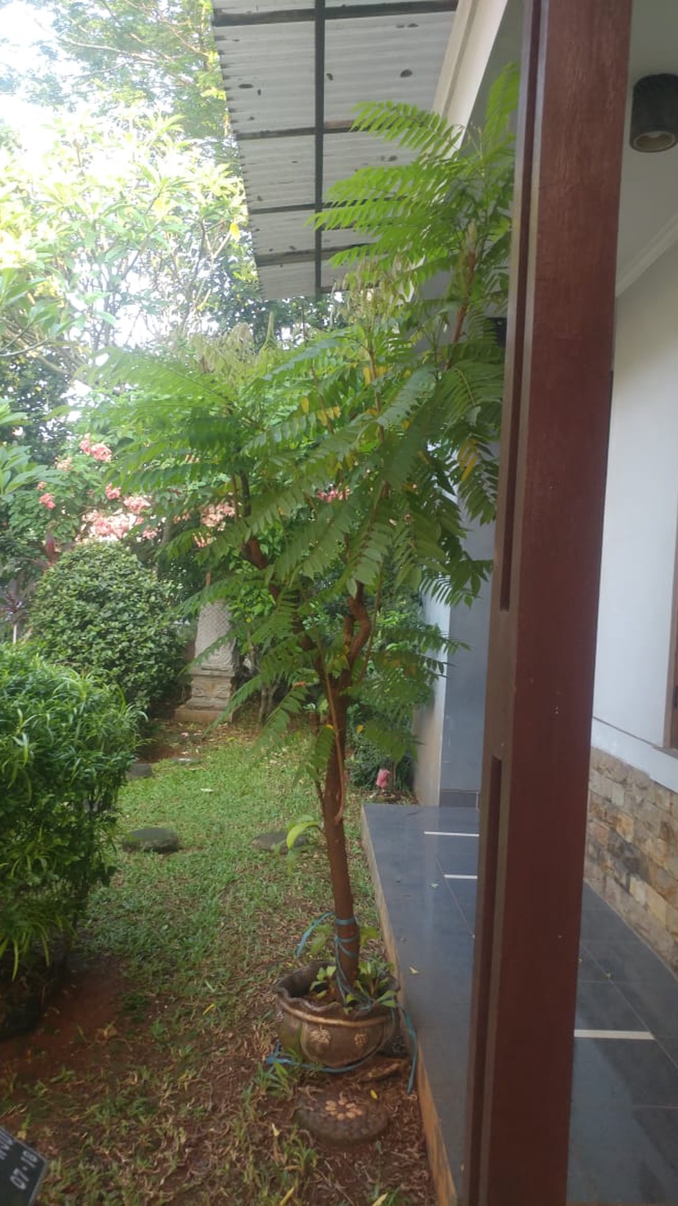 Rumah Siap Huni, Hunian Nyaman dan Asri @Puri Bintaro