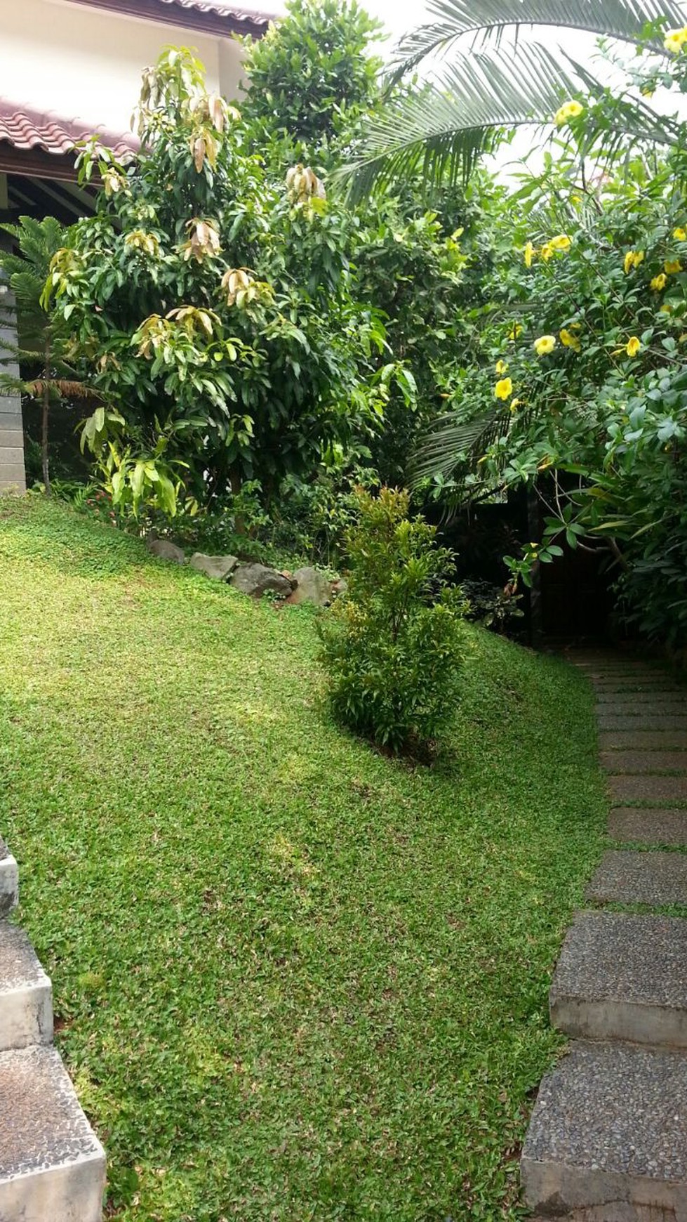 Dijual Rumah Mewah di kemang #DG