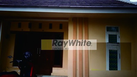 Rumah Swan Menganti Gresik