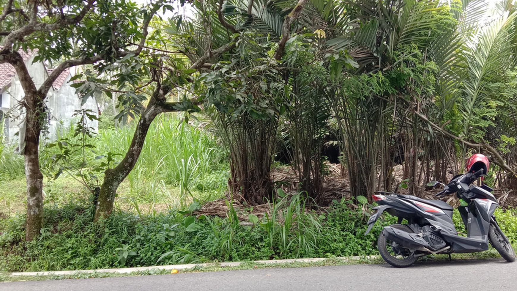 TANAH PEKARANGAN DIATAS 4000 METER, DI JL TEMEPEL-TURI