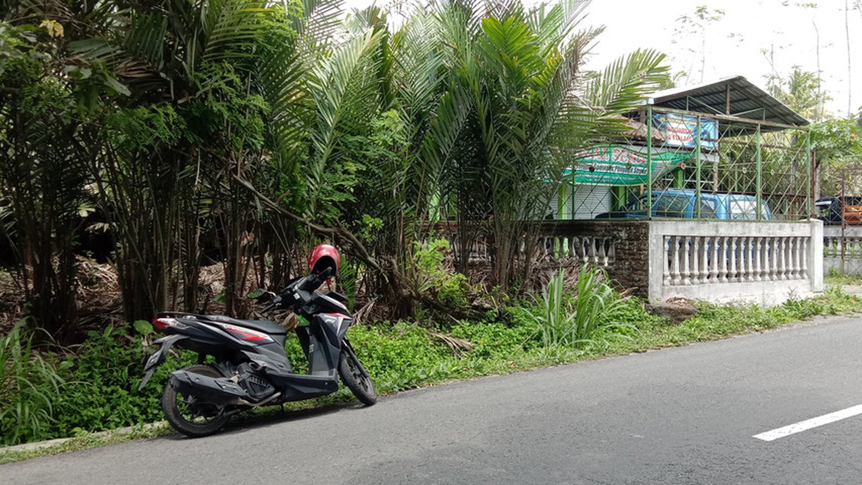 TANAH PEKARANGAN DIATAS 4000 METER, DI JL TEMEPEL-TURI