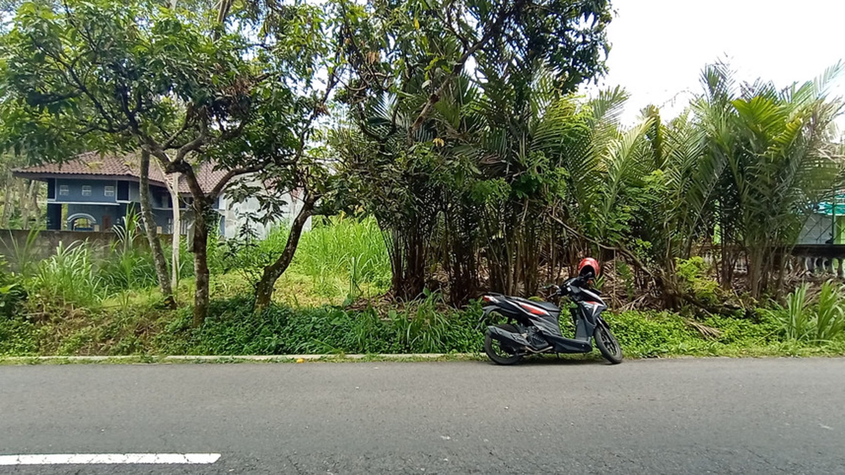 TANAH PEKARANGAN DIATAS 4000 METER, DI JL TEMEPEL-TURI