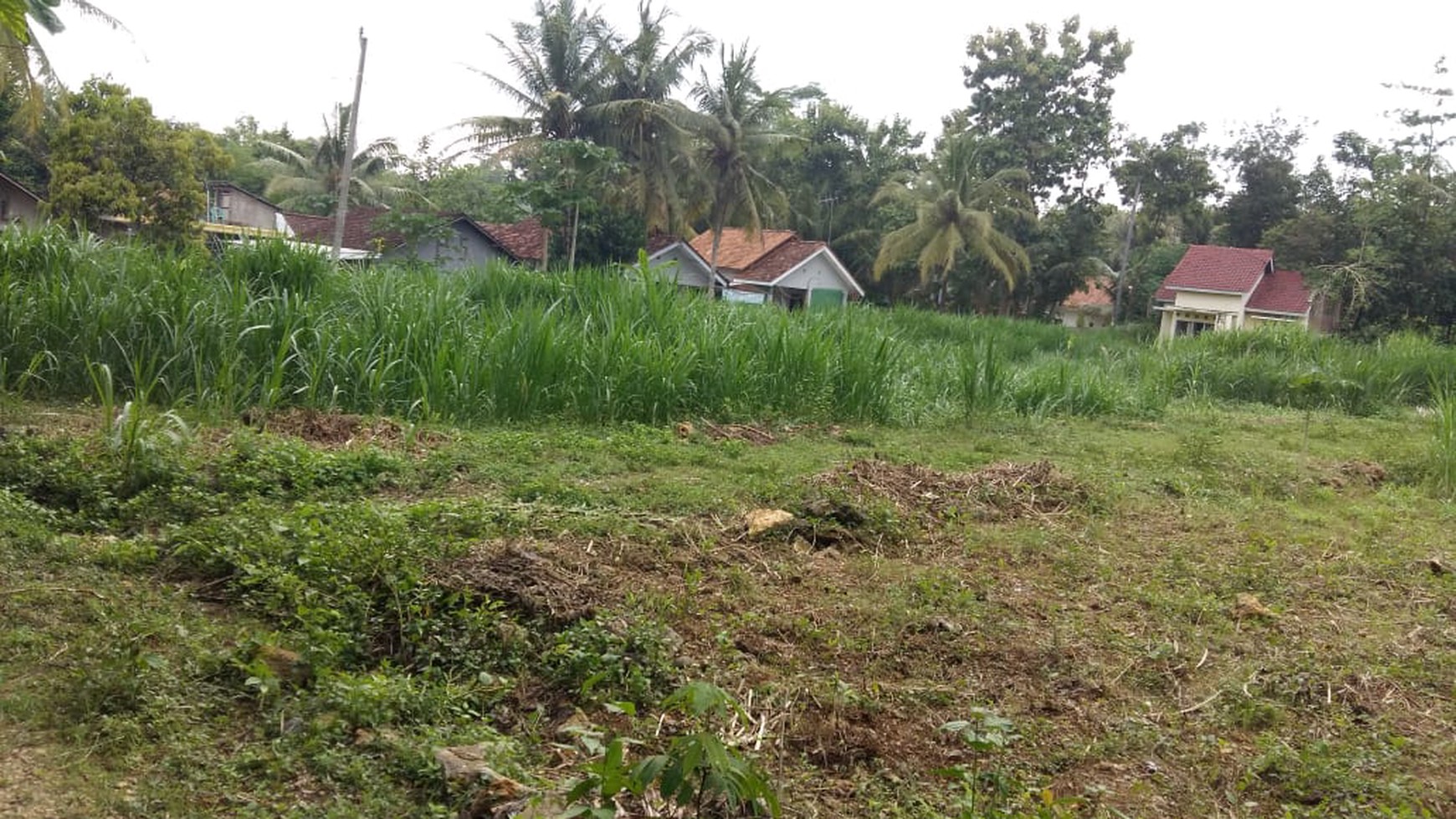 TANAH PEKARANGAN COCOK UNTUK DIBANGUN PERUMAHAN DI SENDANGSARI, KULONPROGO