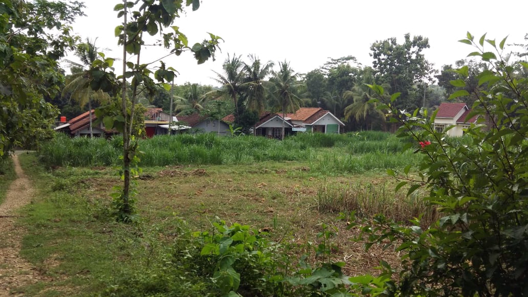 TANAH PEKARANGAN COCOK UNTUK DIBANGUN PERUMAHAN DI SENDANGSARI, KULONPROGO