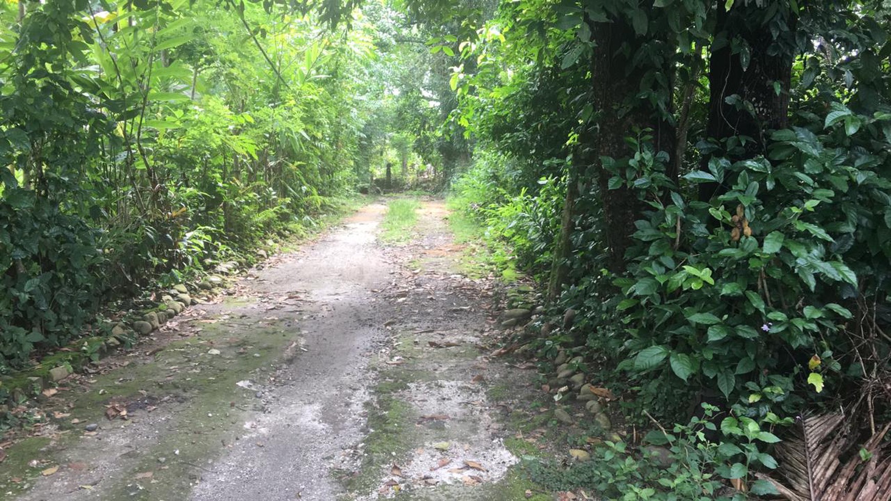 Freehold Riverside land 2100 sqm, Near Ocean in Traditional Village Beraban Tabanan