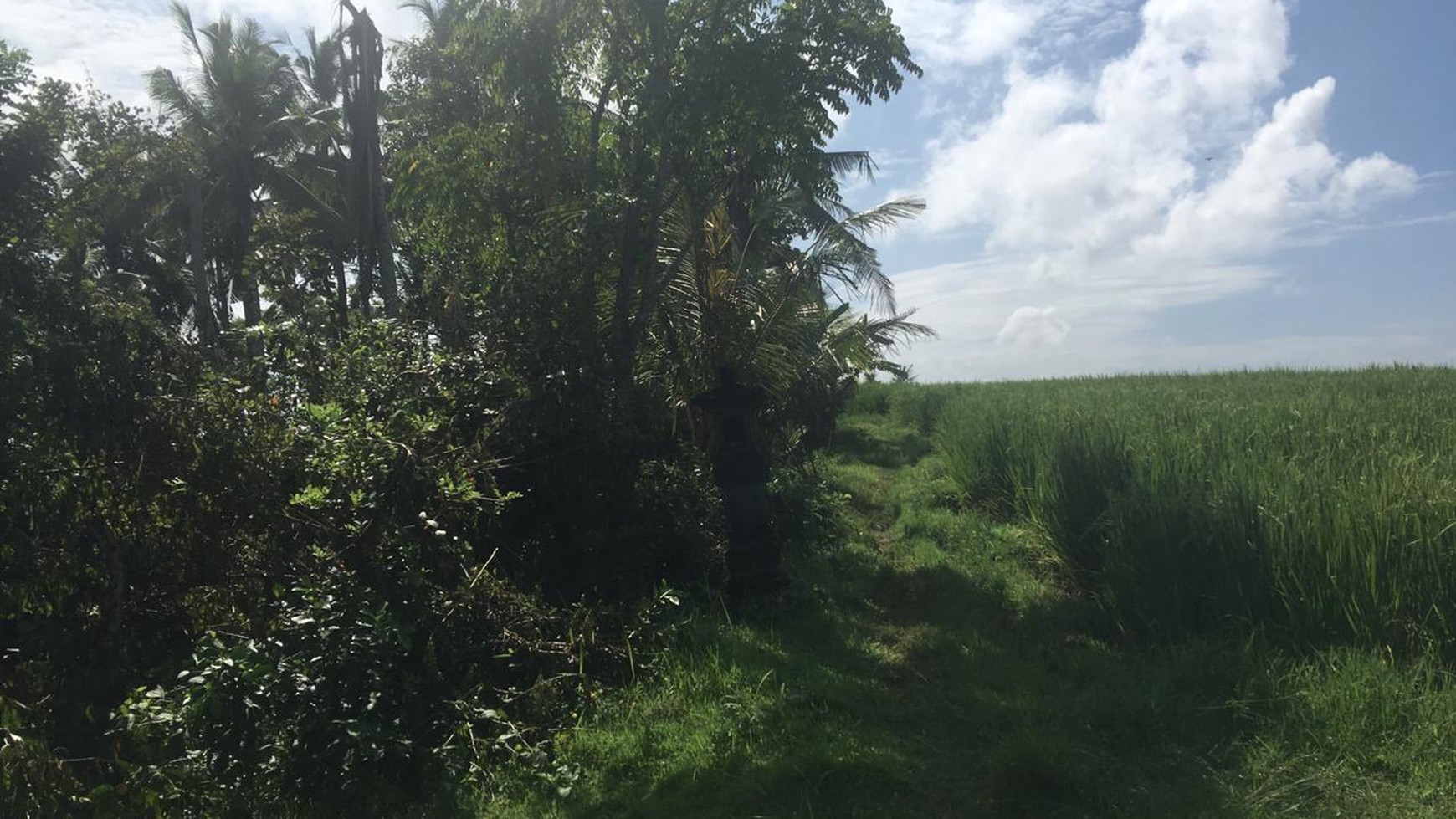 Freehold beachfront land 750 sqm on panoramic hilltop in Kelecung Tabanan