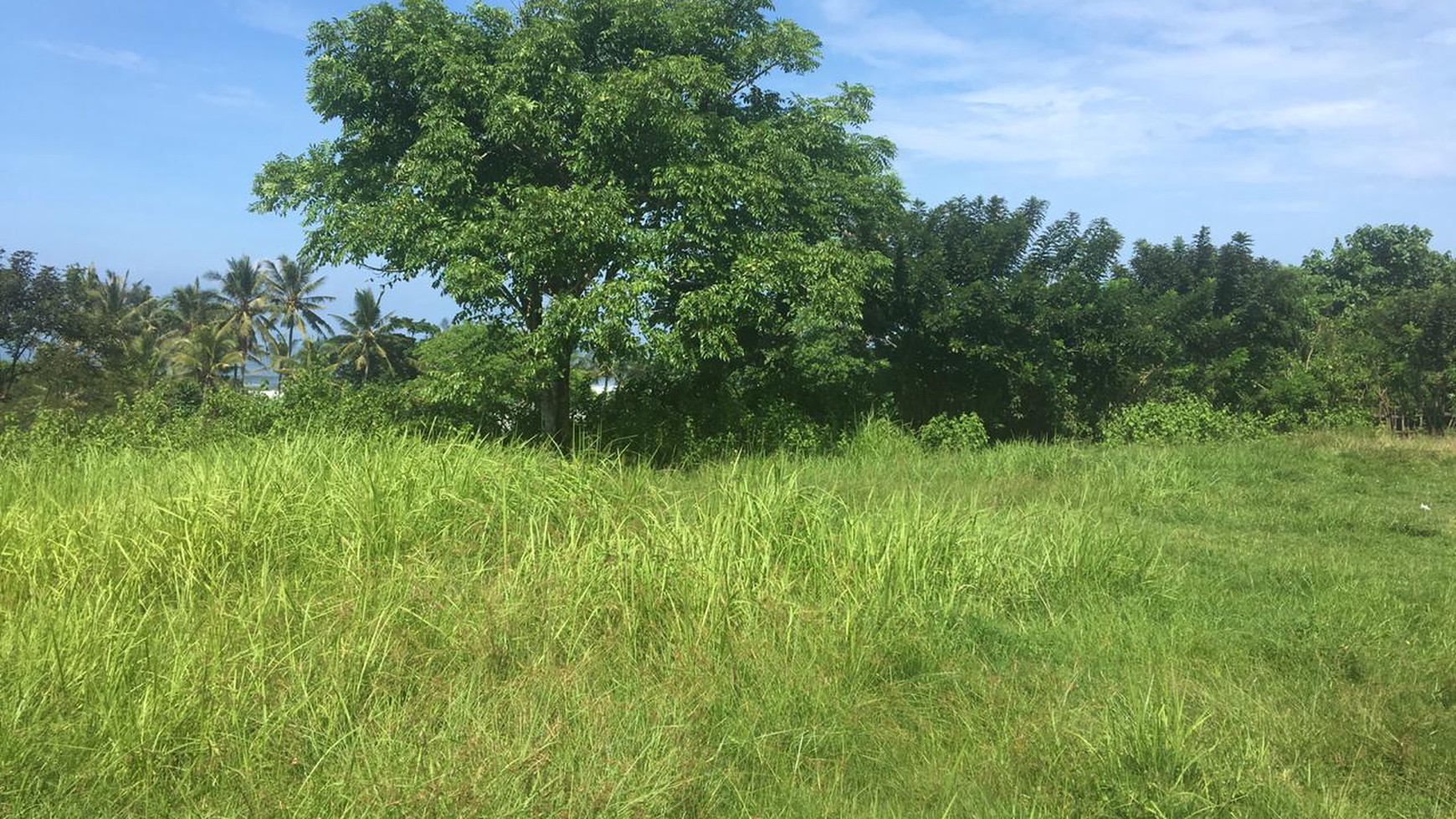 Freehold beachfront land 750 sqm on panoramic hilltop in Kelecung Tabanan