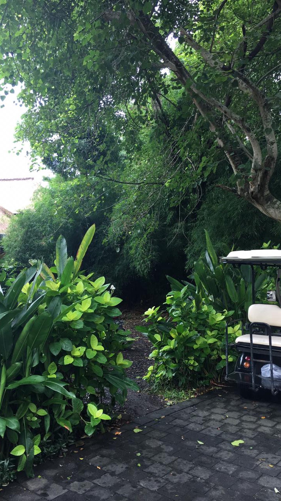 Land Freehold 1200 sqm in Luxury Villa Complexs Jimbaran