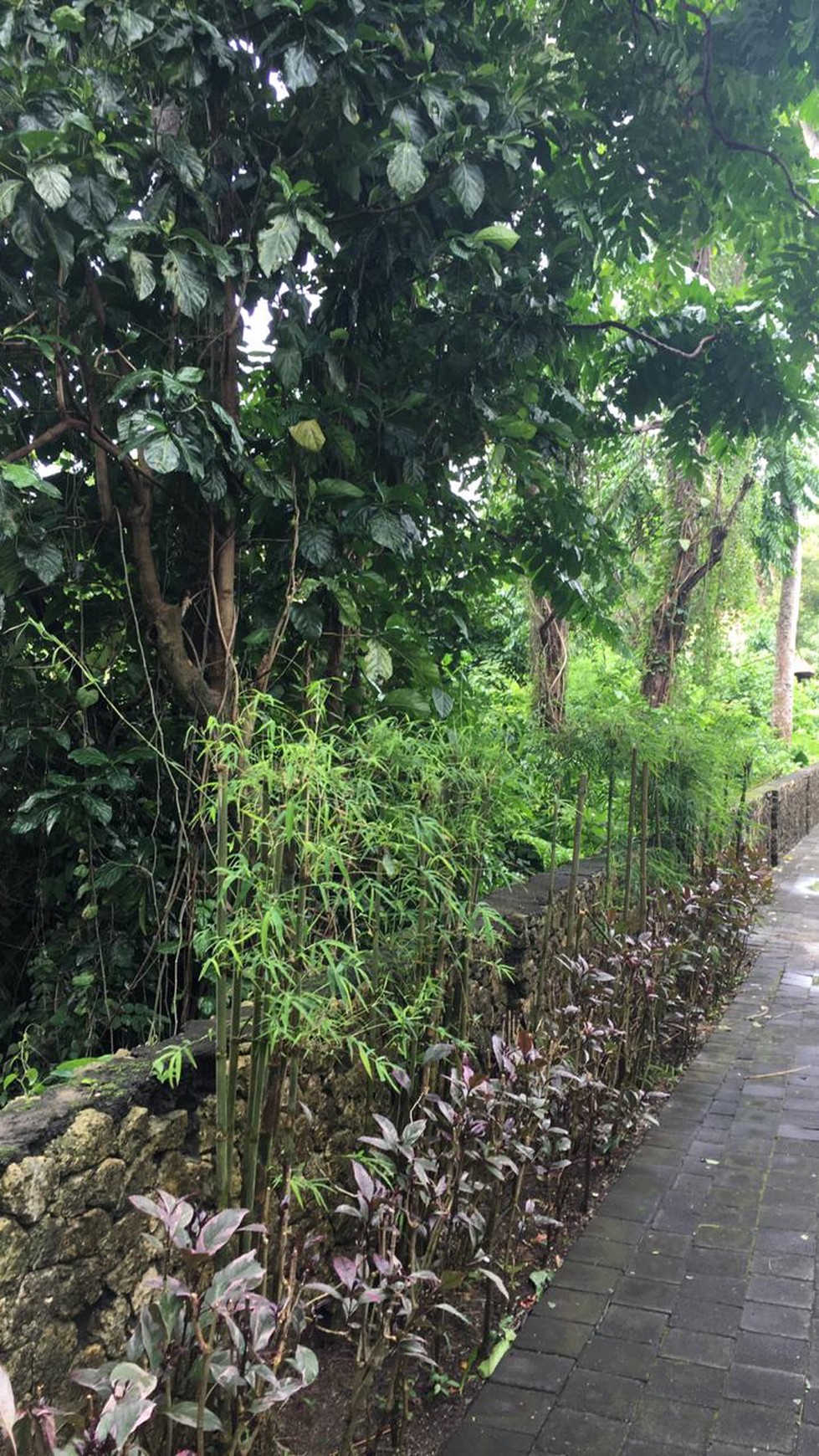 Land Freehold 1200 sqm in Luxury Villa Complexs Jimbaran