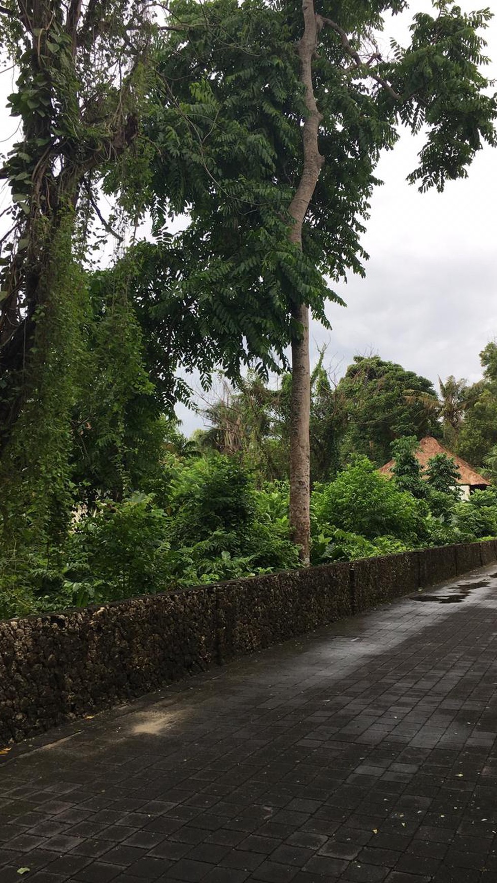 Land Freehold 1200 sqm in Luxury Villa Complexs Jimbaran