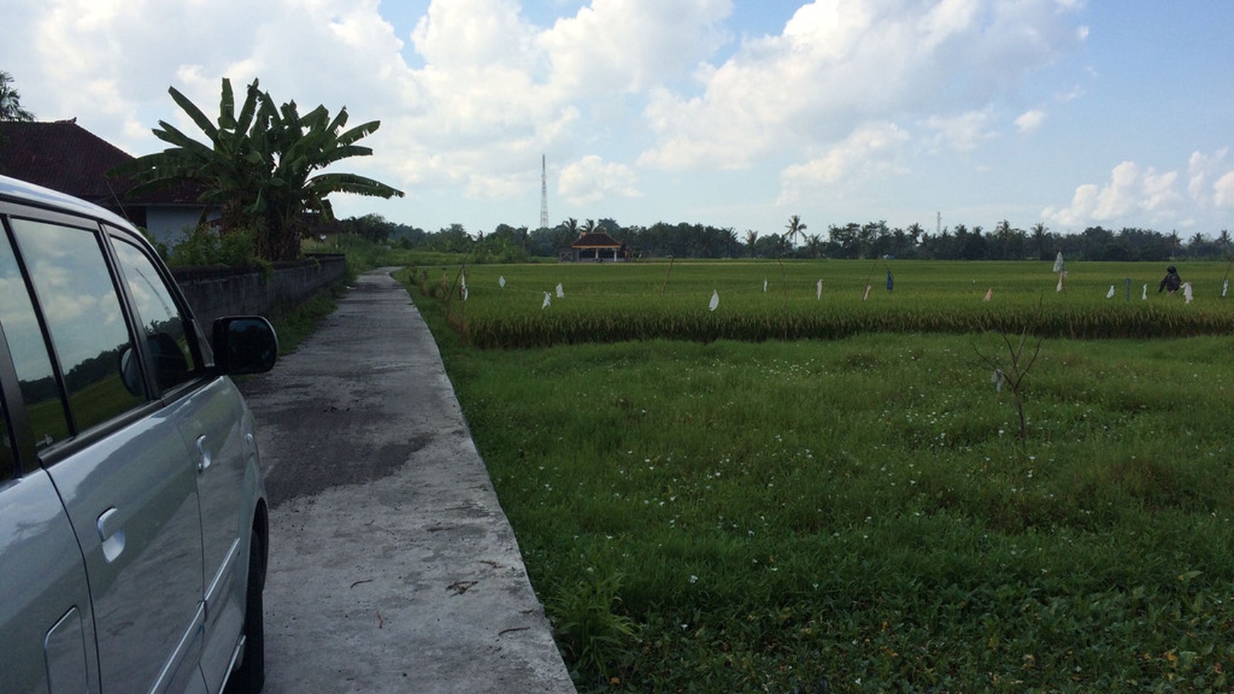 Freehold Land For Sale In Kedungu With Rice Field Views