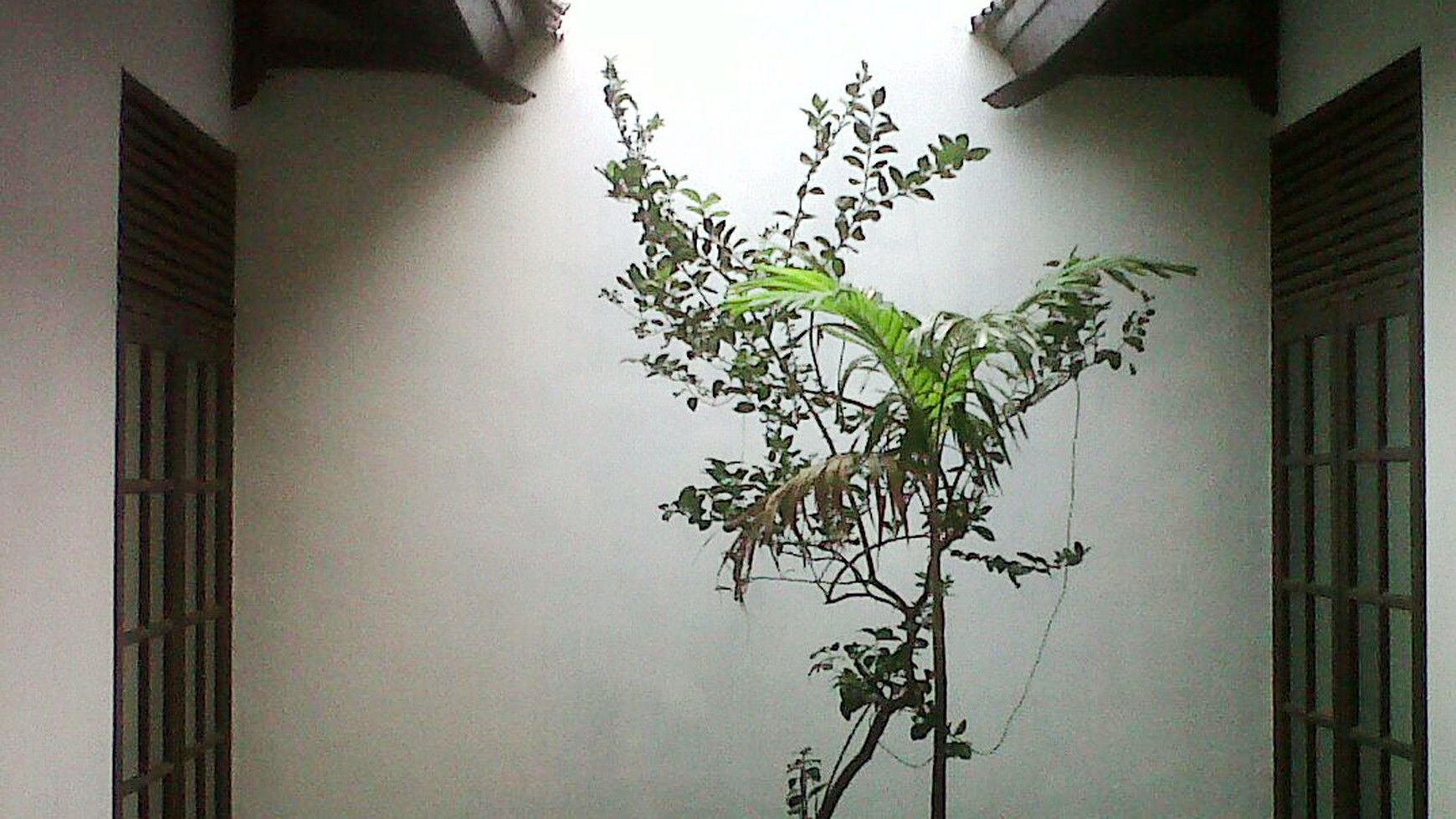 Rumah Bagus Di Jl Cendana, Bekasi