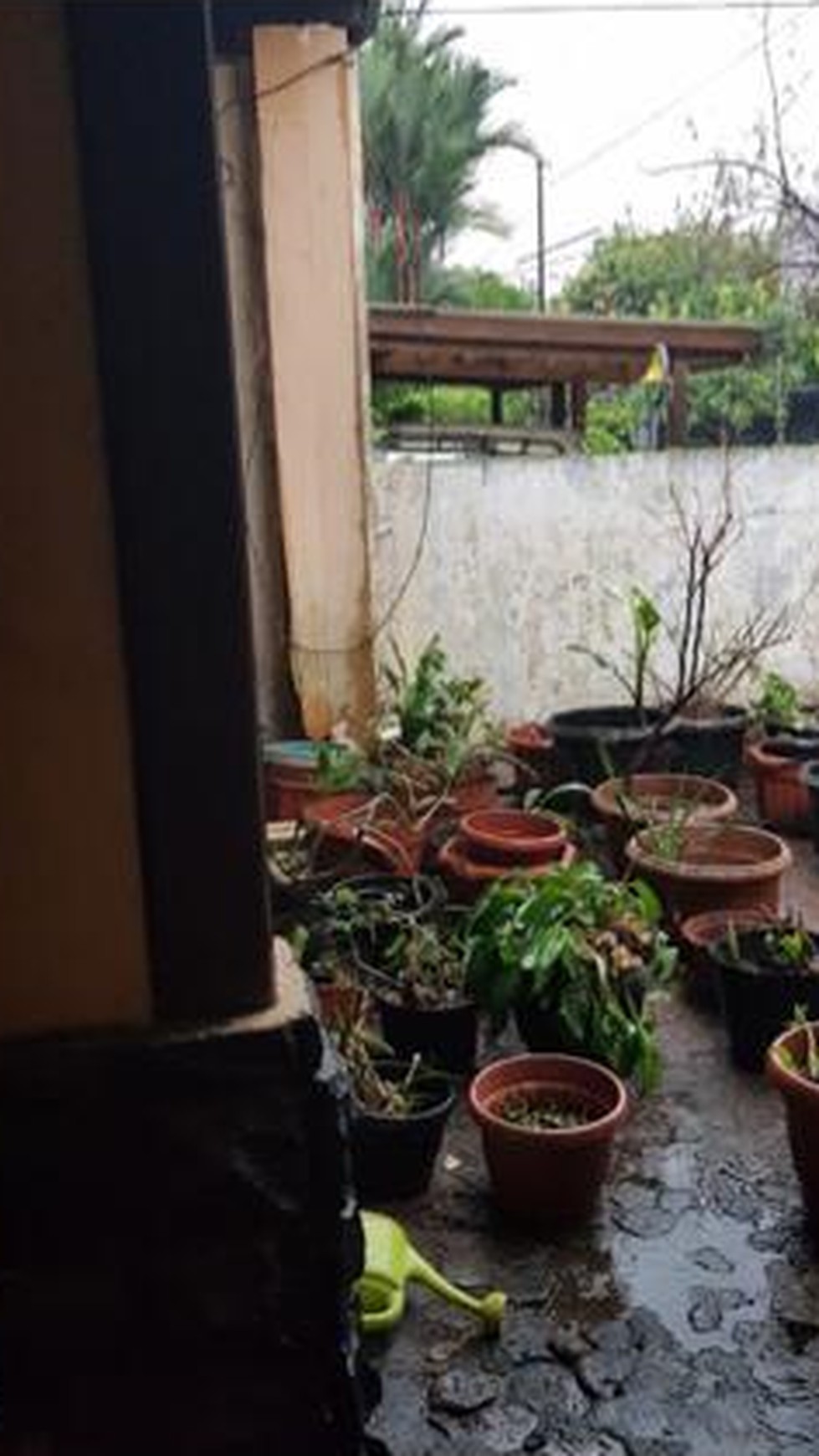 Rumah Terawat Sederhana di Ghara Cinere