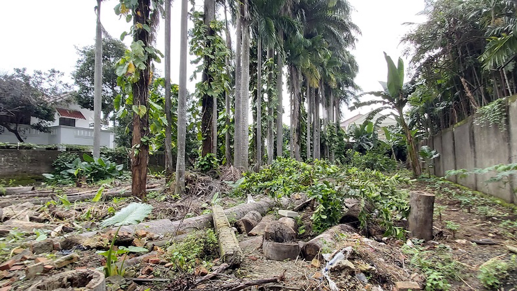 Kavling Tanah di Jalan Durian Barat, Jagakarsa, Jakarta Selatan, Bentuk Tanah Kotak, Lokasi Cantik, SHM