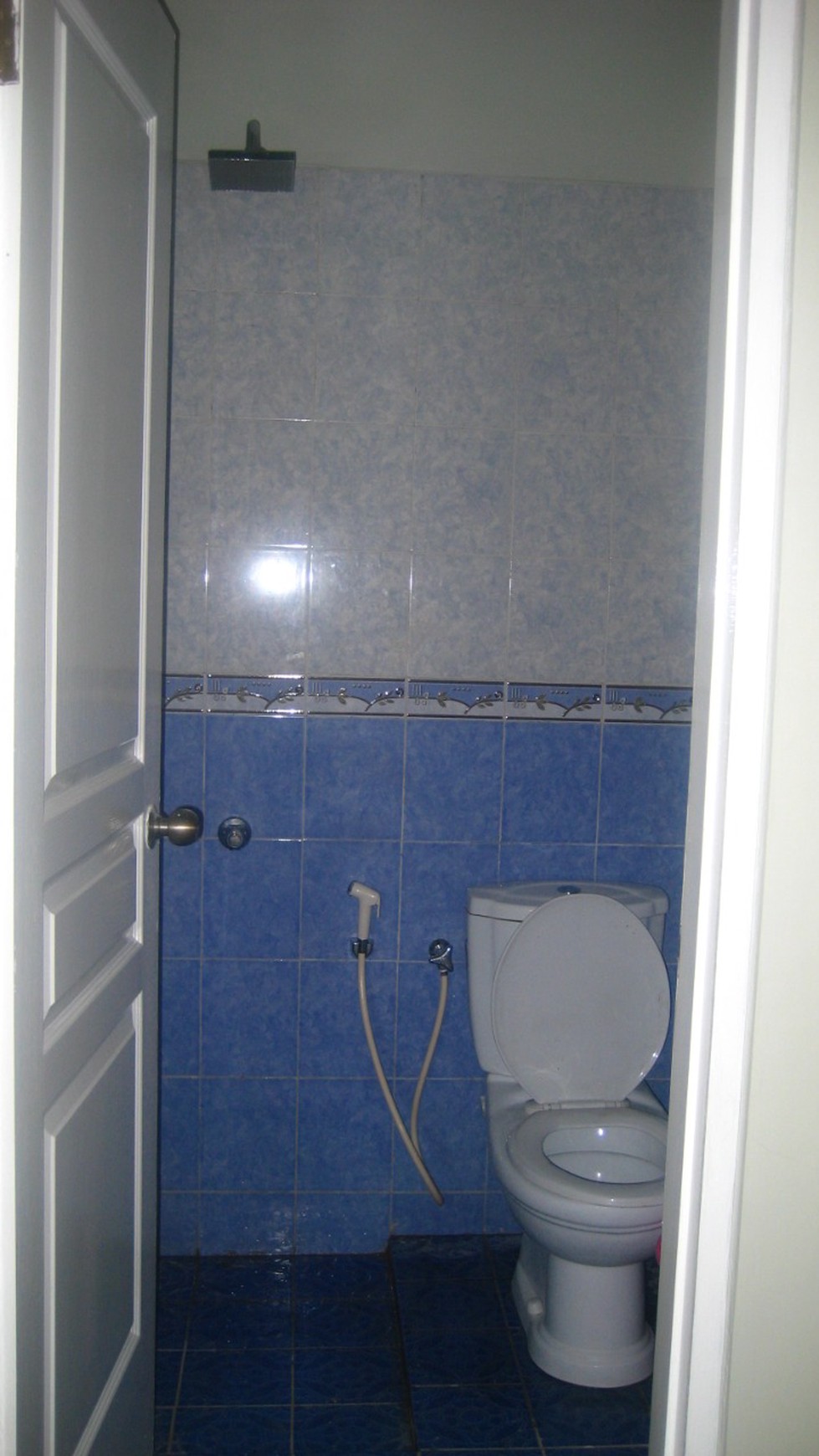 RUMAH BAGUS,ORIANA PERMATA  SEKTOR 9 BINTARO JAYA