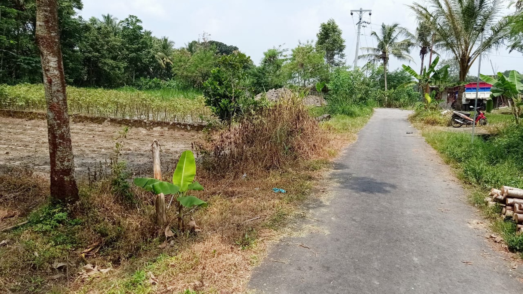 Sawah hanya 100 meter dari Jl.Kaliurang - Sleman