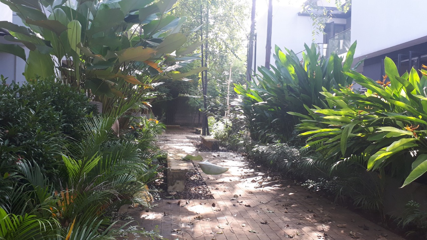 Rumah Modern Tropic di Selatan Jakarta