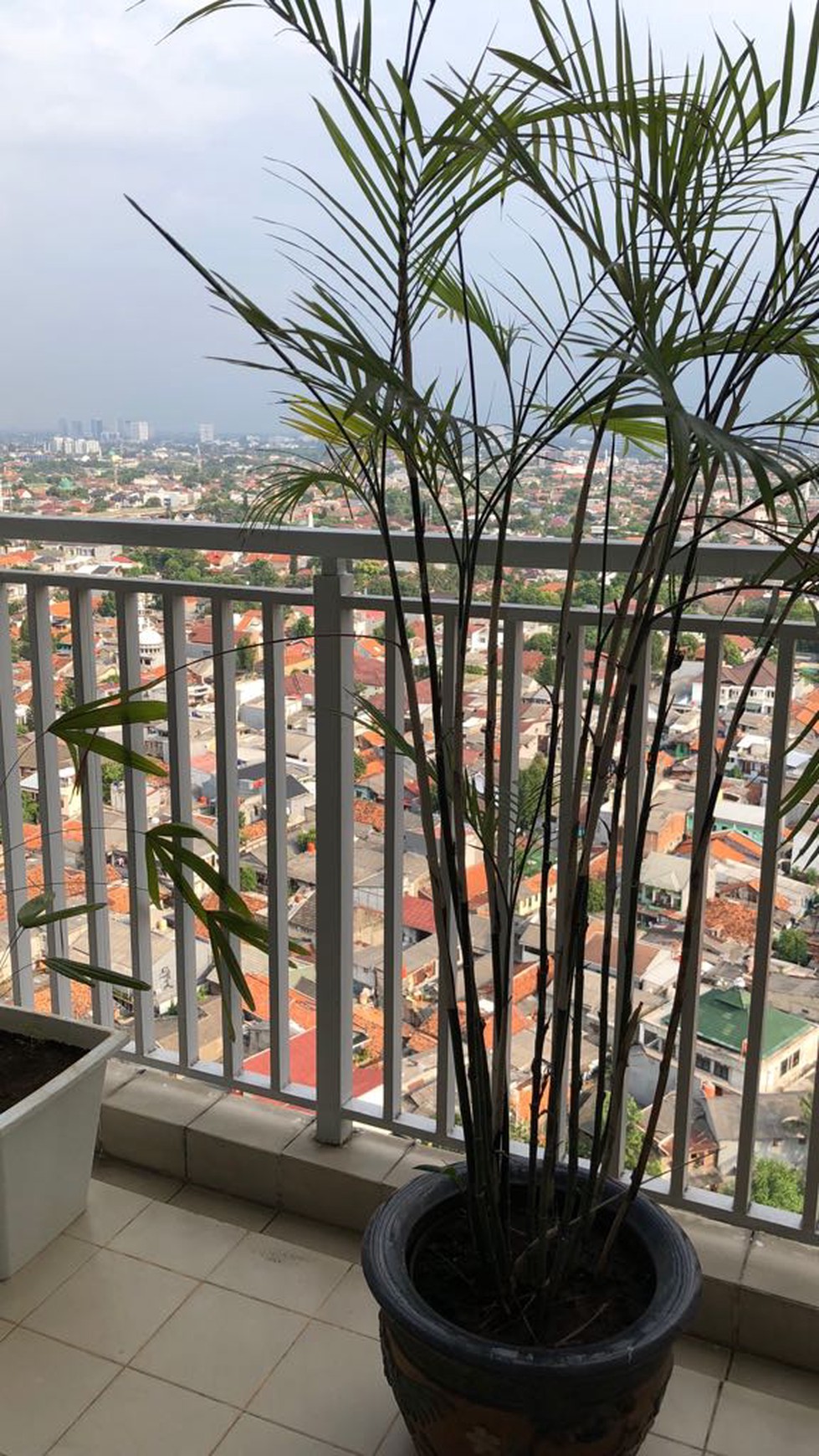 APARTEMEN ESSENCE DHARMAWANGSA - KEBAYORAN BARU