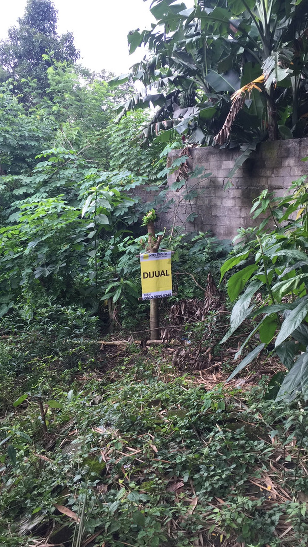 TANAH PEKARANGAN SIAP BANGUN,DI JL KAPt HARYADI,BELAKANG SAMSAT SLEMAN