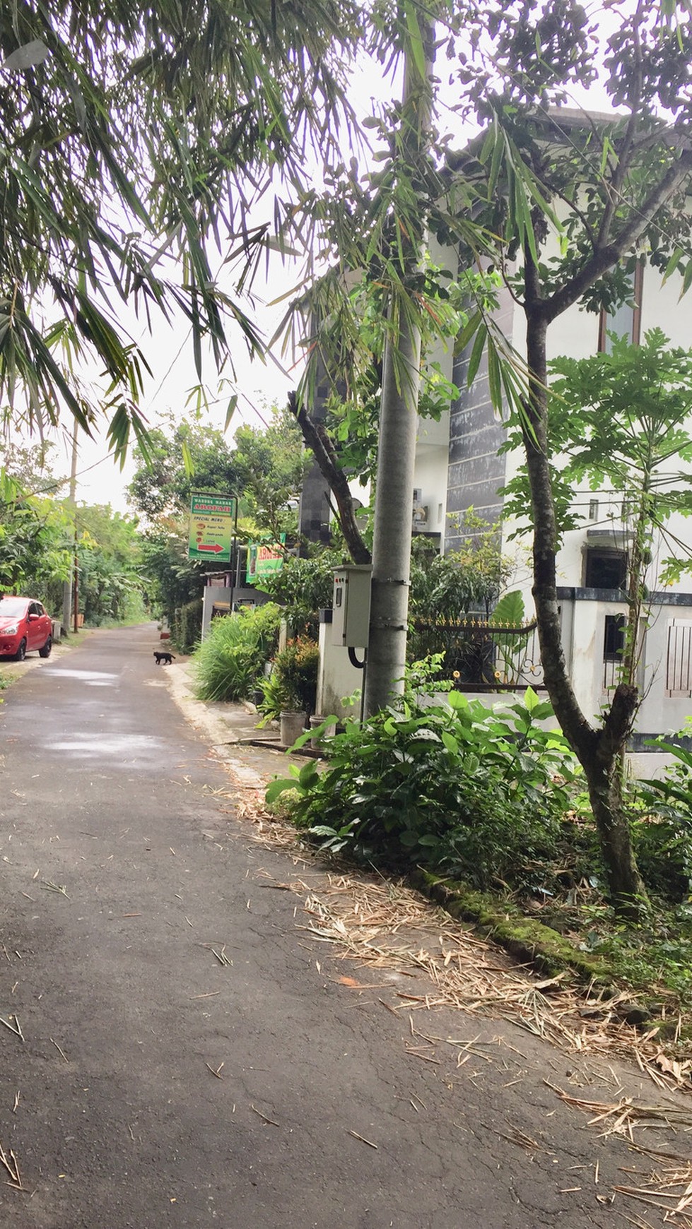 TANAH PEKARANGAN SIAP BANGUN,DI JL KAPt HARYADI,BELAKANG SAMSAT SLEMAN