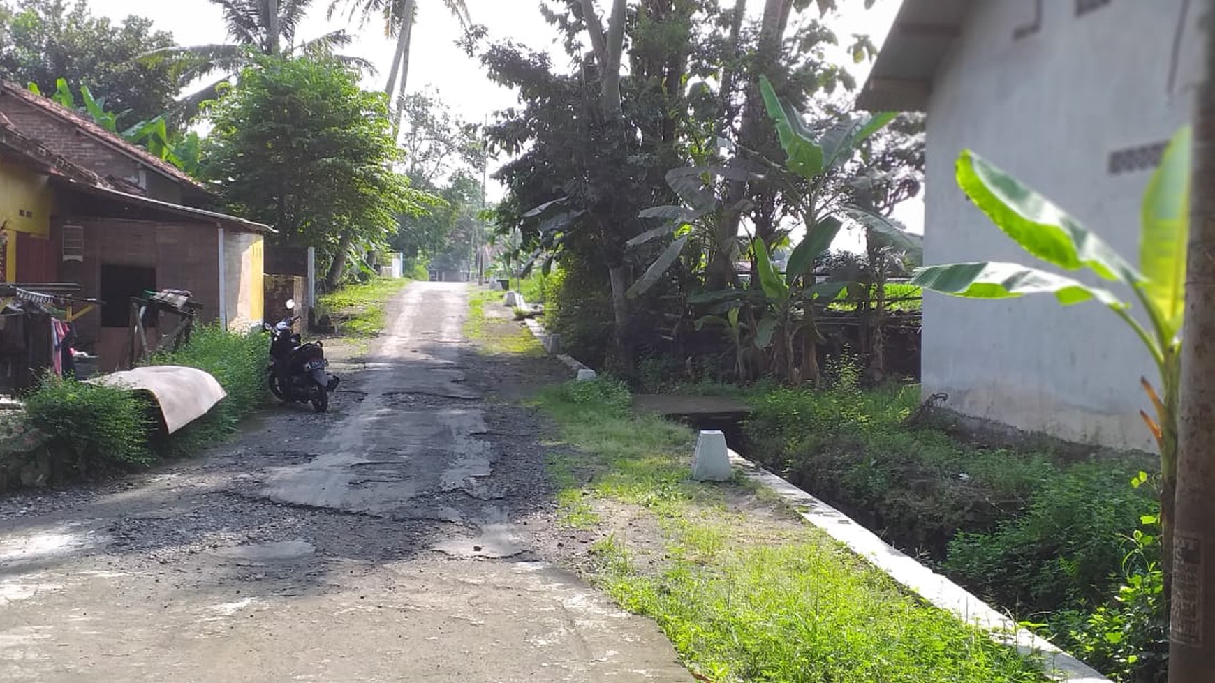 TANAH SAWAH DI SUMBERSARI, MOYUDAN, SLEMAN