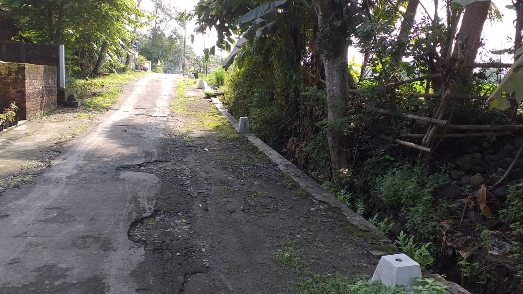 TANAH SAWAH DI SUMBERSARI, MOYUDAN, SLEMAN
