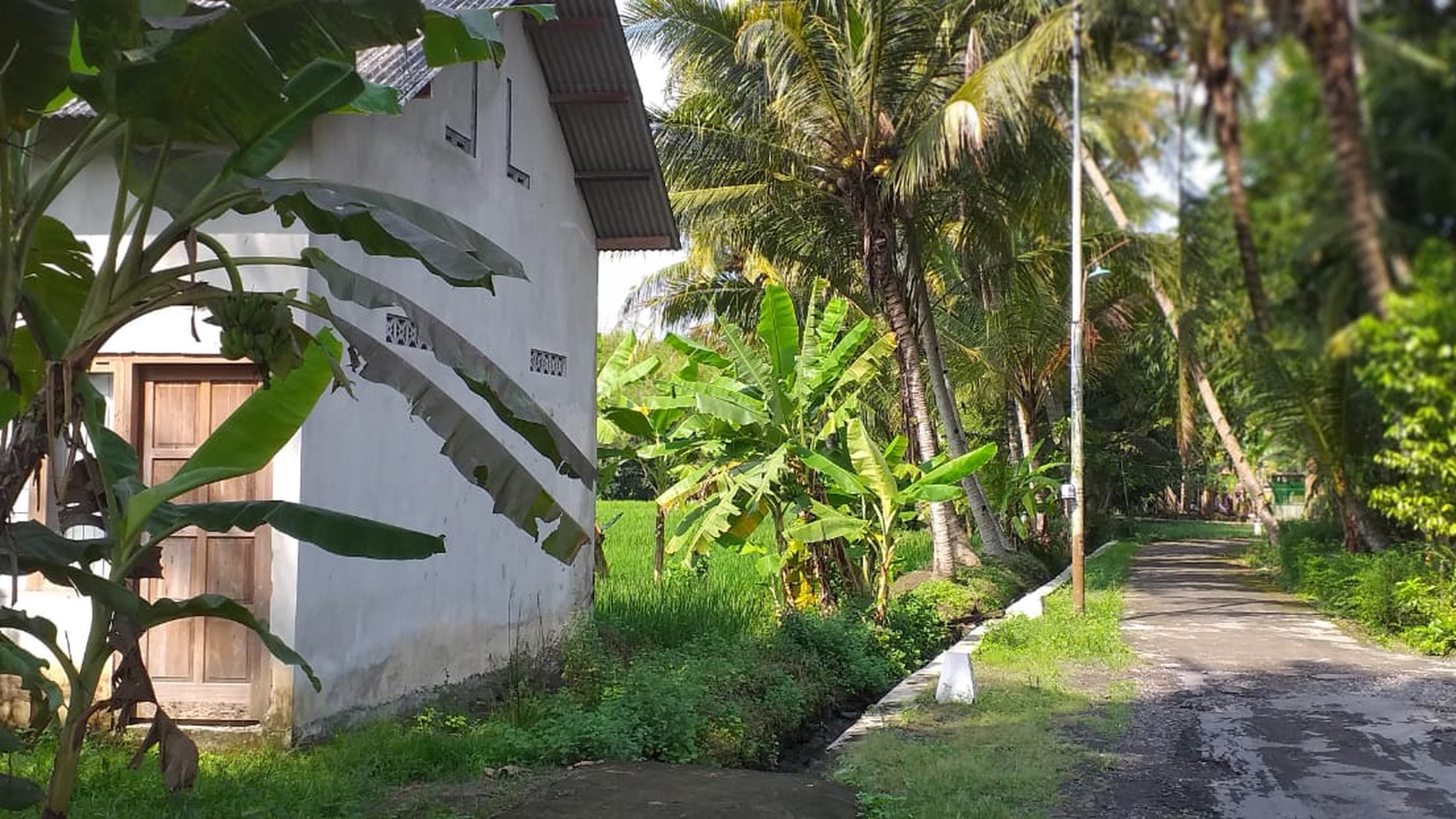 TANAH SAWAH DI SUMBERSARI, MOYUDAN, SLEMAN