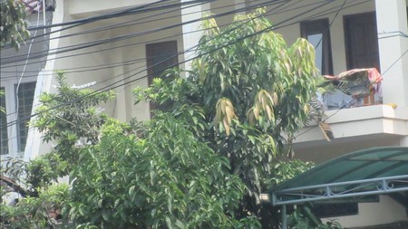 Rumah Bagus Di Camar, Bintaro Jaya Sektor 3