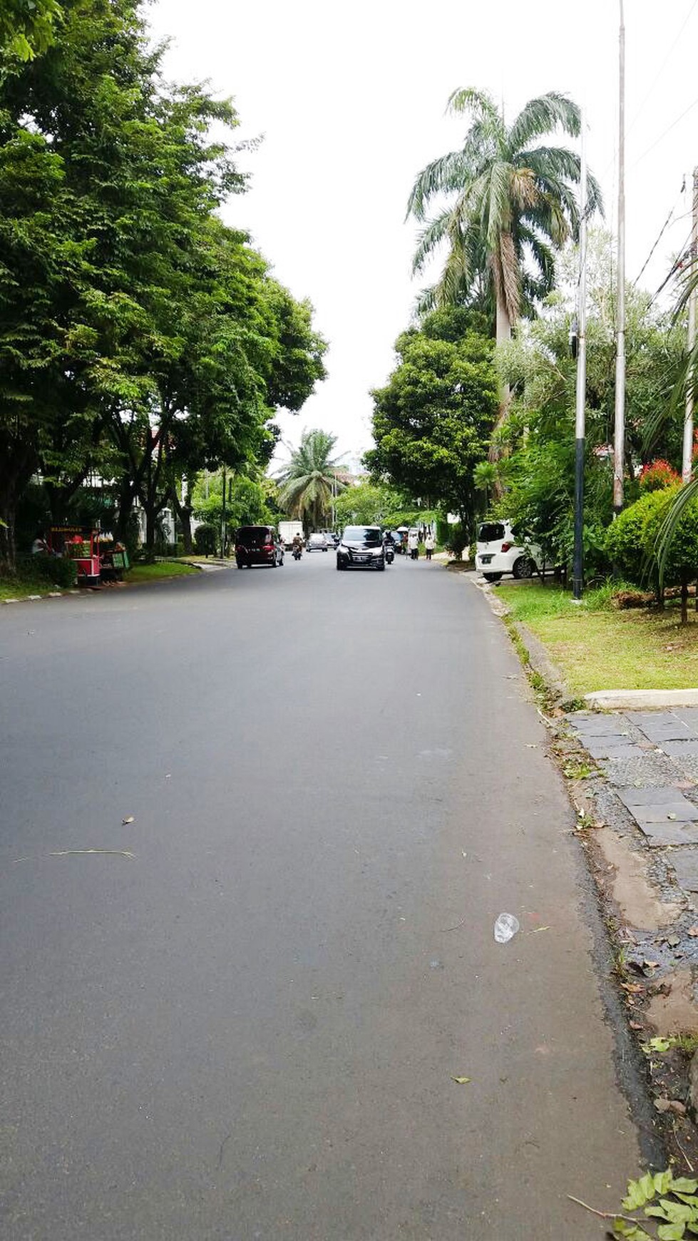 Dijual Rumah Bagus Di Jl Pinang Merah, Pondok Indah DKI Jakarta