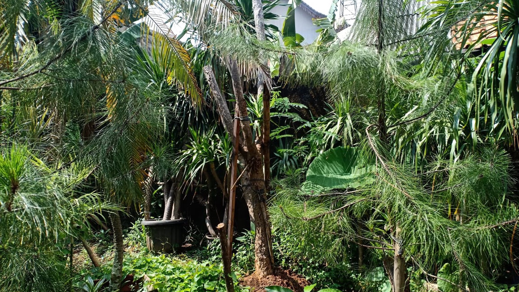 Dijual Kavling Siap Bangun Di Jl Masjid Nur Kebayoran Lama, DKI Jakarta