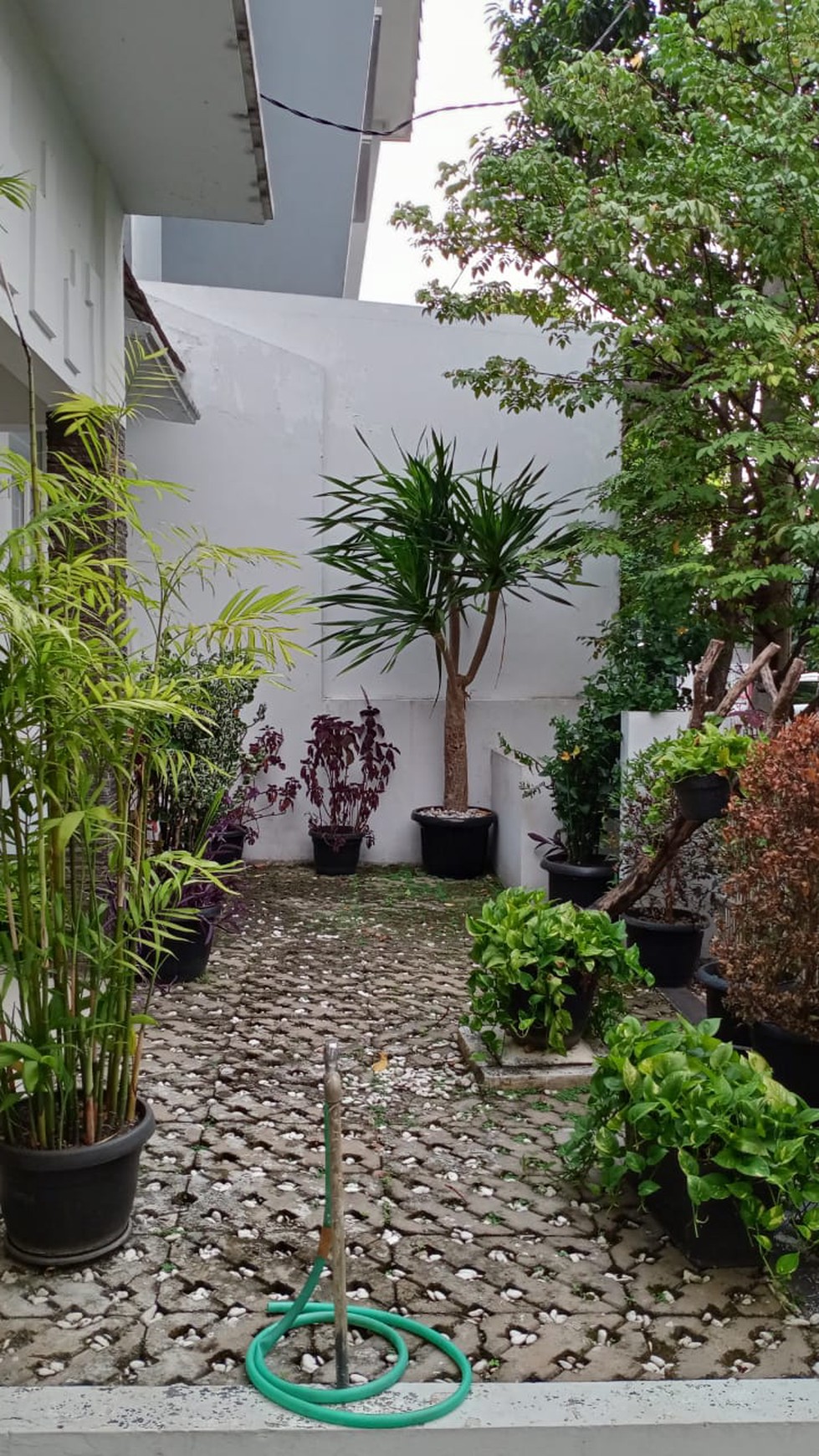 Rumah Cantik,siap huni,lokasi oke di Bintaro 9