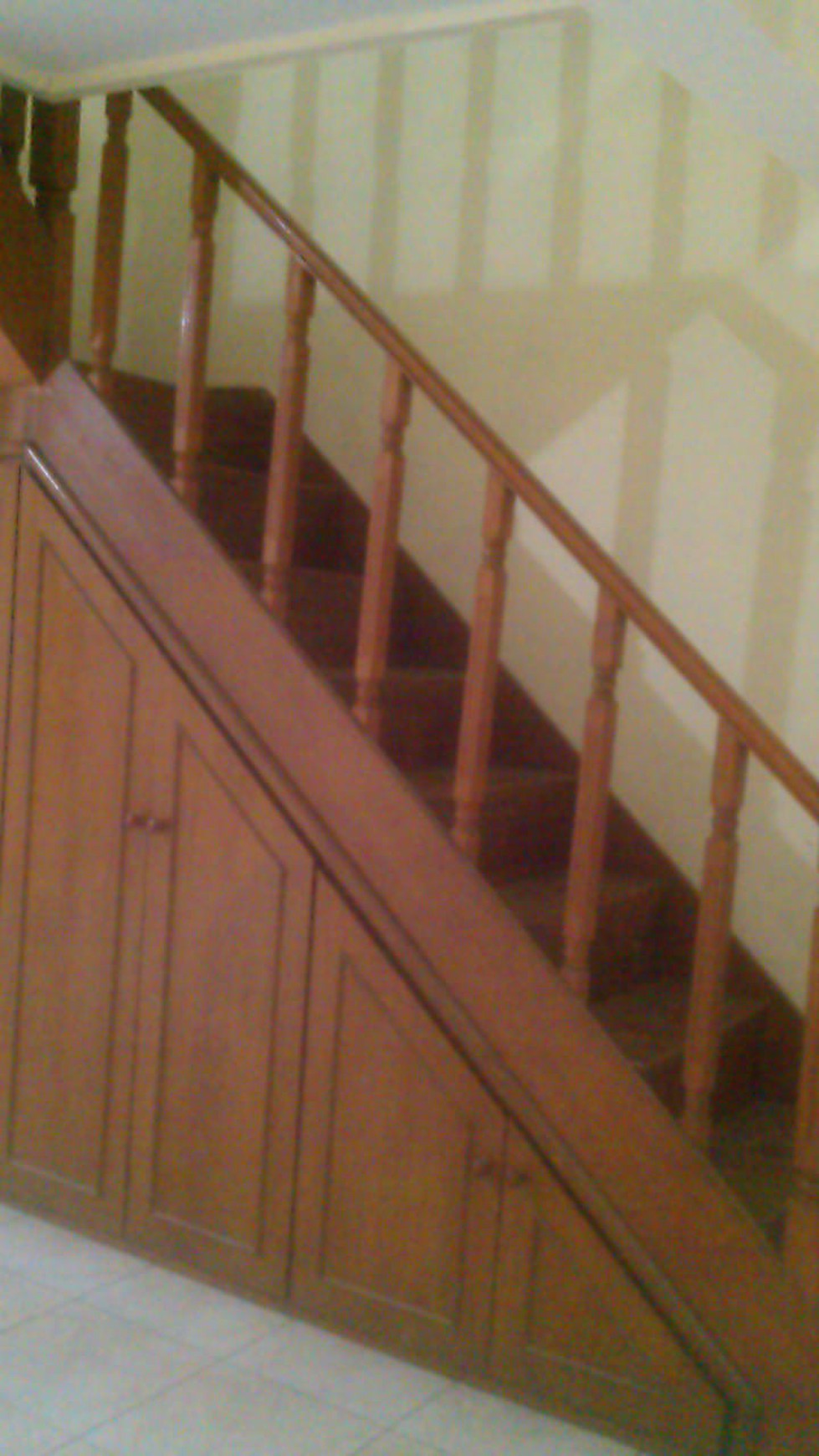 Rumah Asri Murah di Kucica Bintaro Jaya