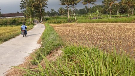 TANAH DI DUSUN KWILET, KETUNGGENG, MAGELANG