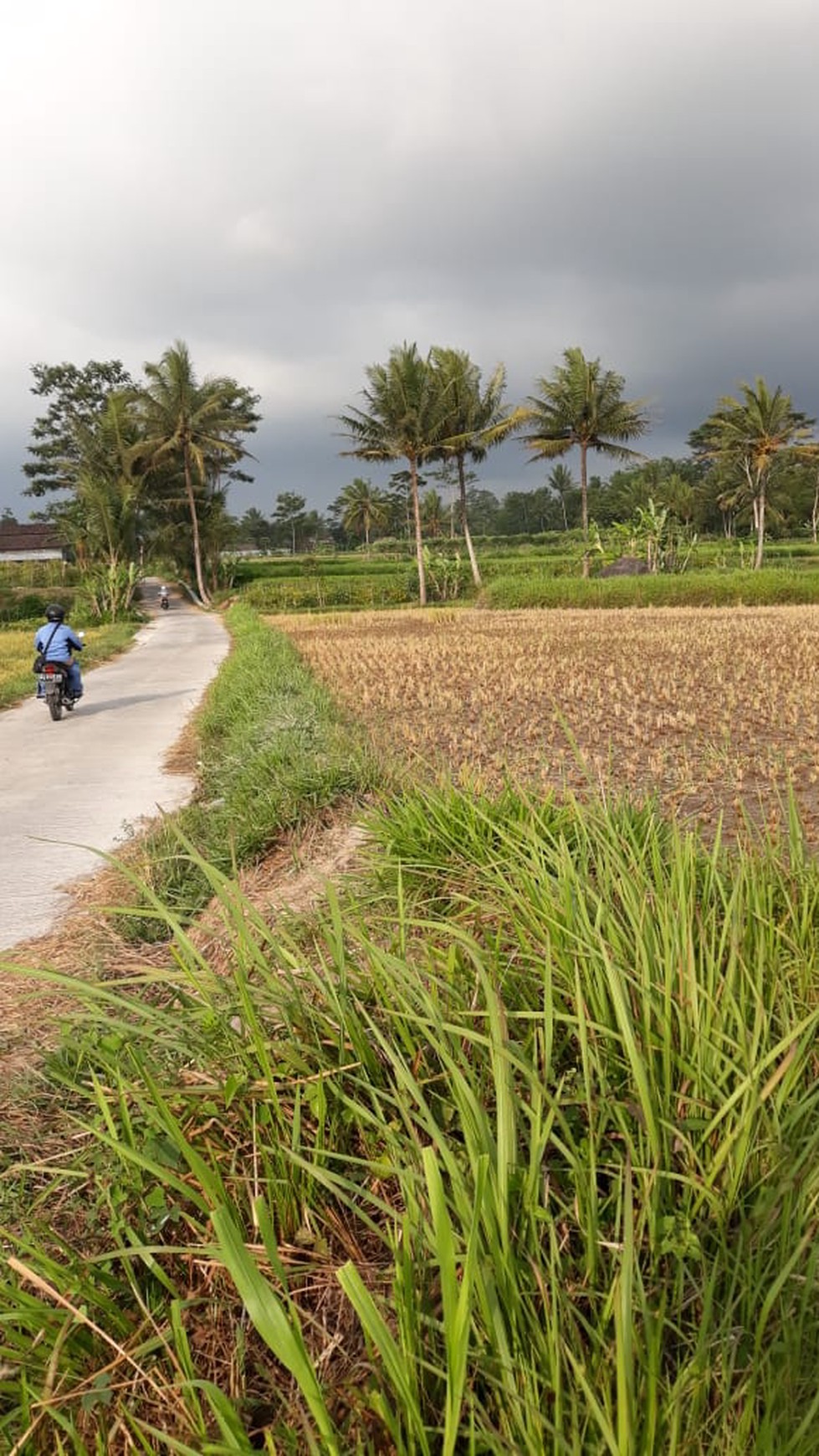 TANAH DI DUSUN KWILET, KETUNGGENG, MAGELANG