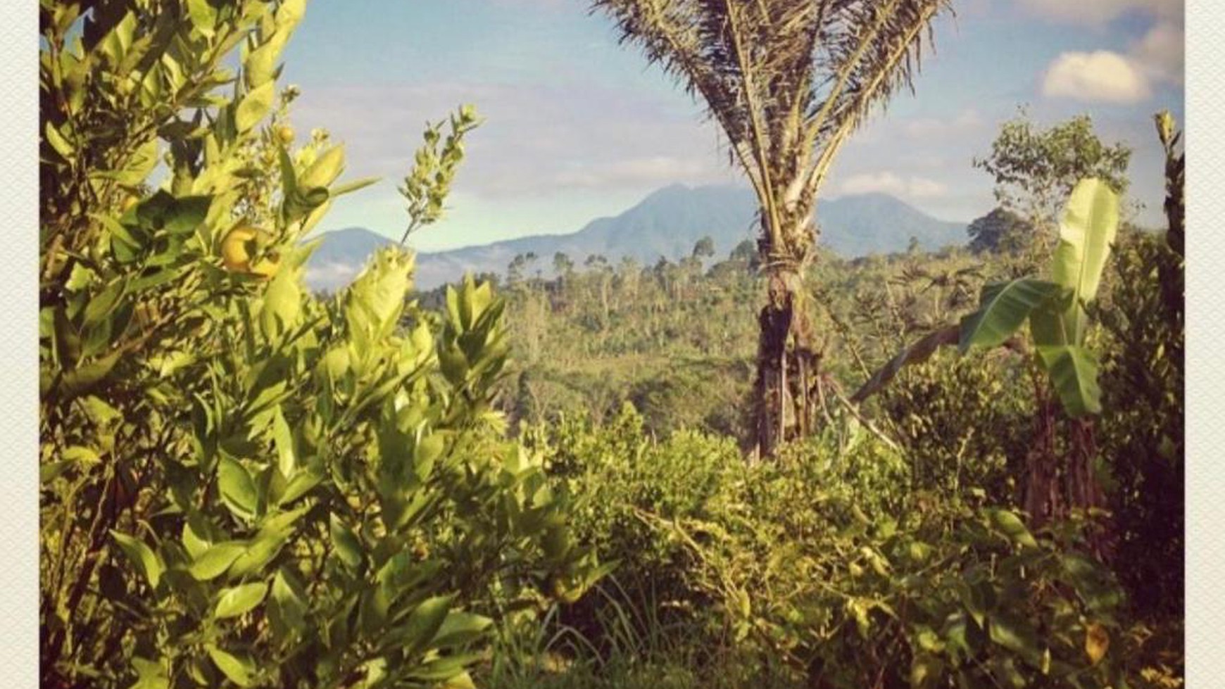 Kavling siap bangun di Bali