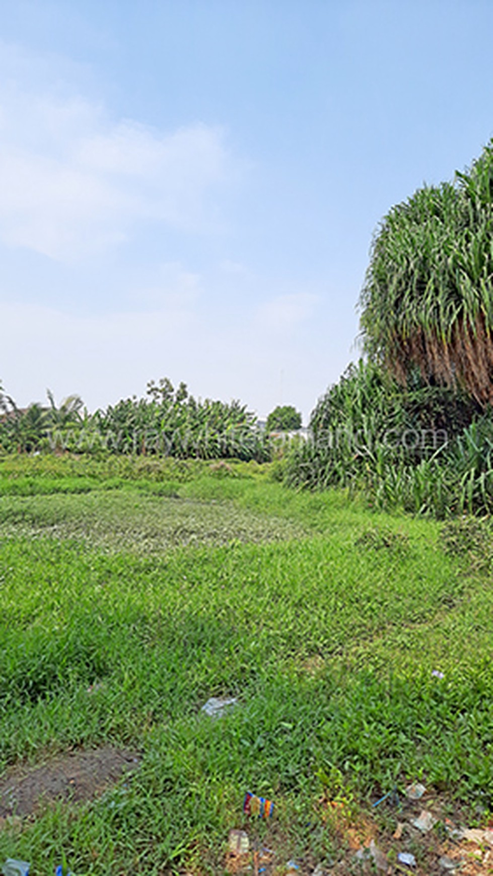 Tanah