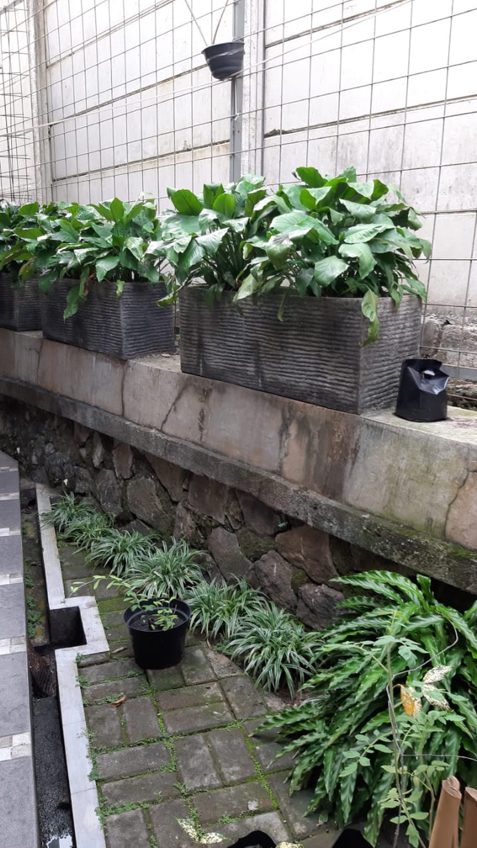 Rumah Siap Huni, Hunian Nyaman dan Asri @Trulek, Bintaro
