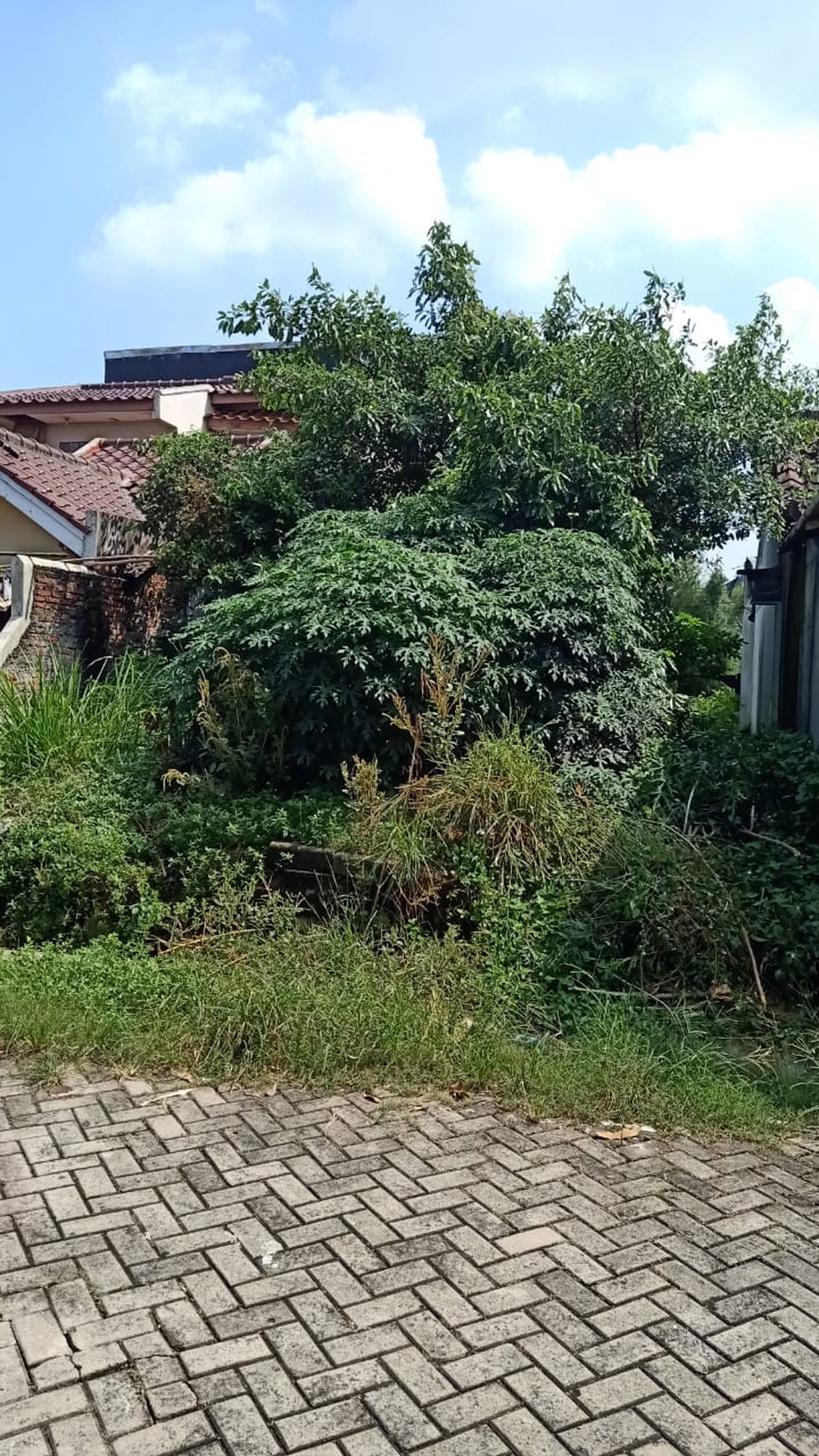 Dijual Kavling seluas 119m di Medang Lestari  dengan harga jual menarik