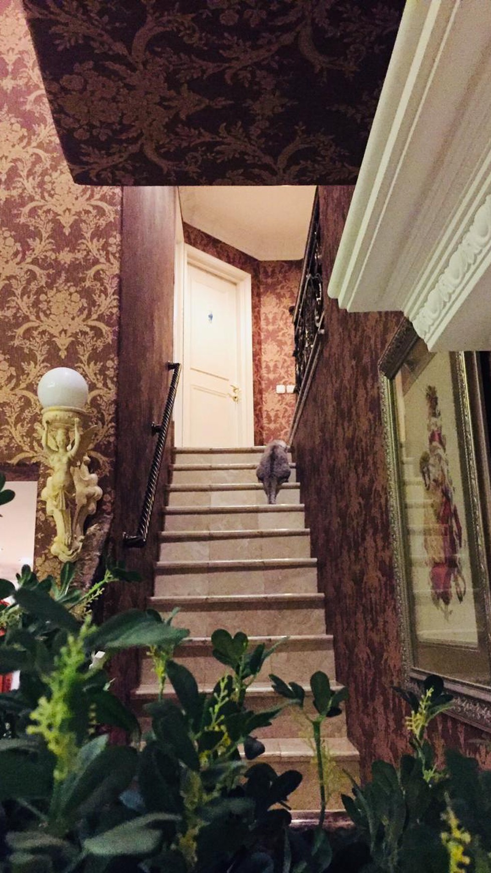 Disewakan rumah di telaga biru cluster Mediteranian - Lippo Karawaci Tangerang