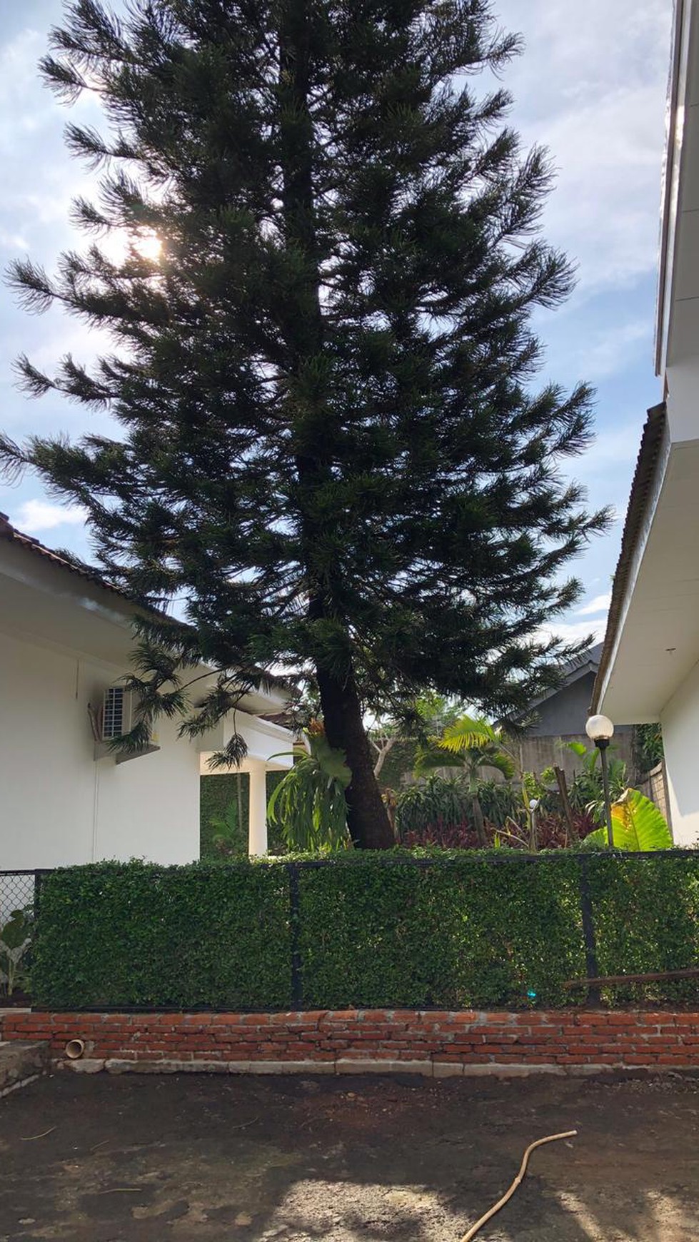 Sewa Rumah Pejaten Barat Jakarta Selatan