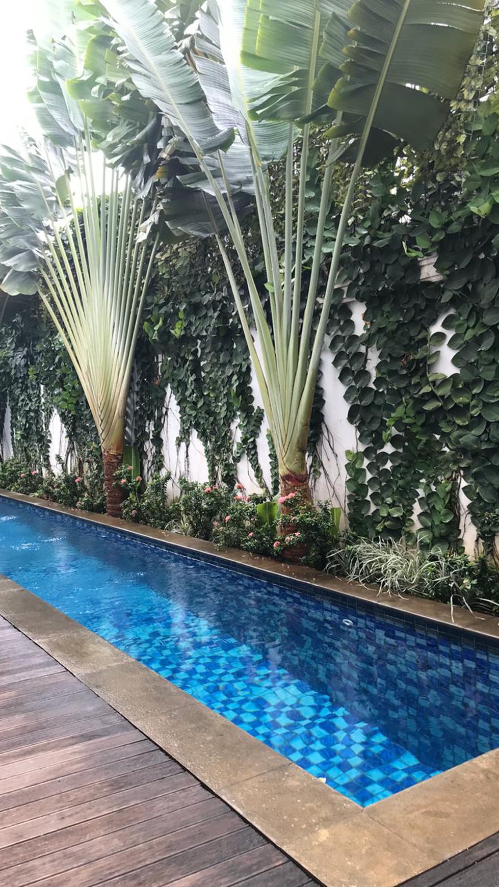 Dijual Rumah Modern Classic Daerah Cipete Siap Huni