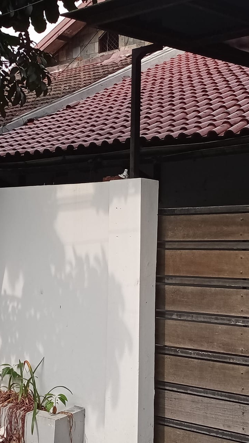 Rumah Siap Huni di Bintaro 1