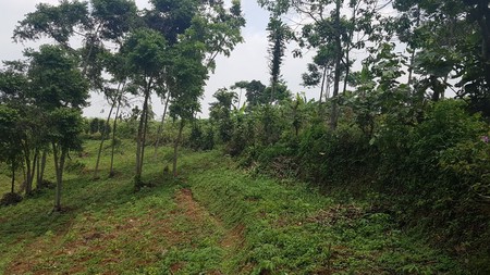 Kavling Luas diKawasan Bojong Koneng, Sentul, Bogor