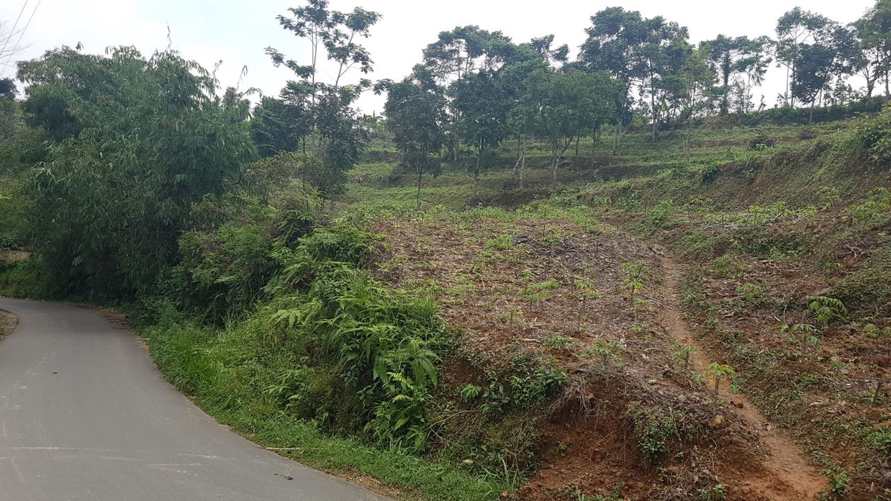Kavling Luas diKawasan Bojong Koneng, Sentul, Bogor