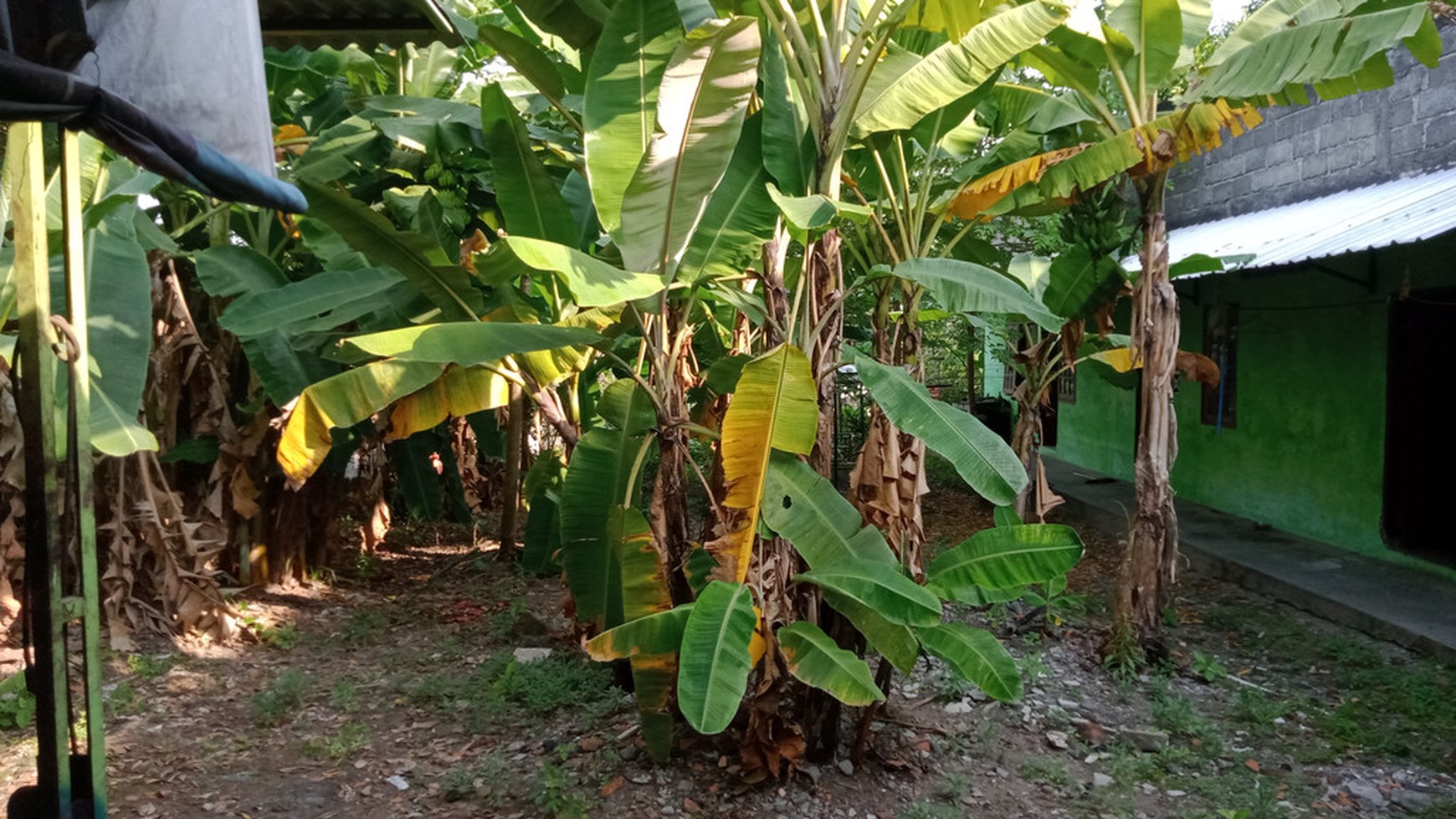 TANAH DAN BANGUNAN LOKASI STRATEGIS, DEKAT TRANSMART DI JL YOGYA-SOLO