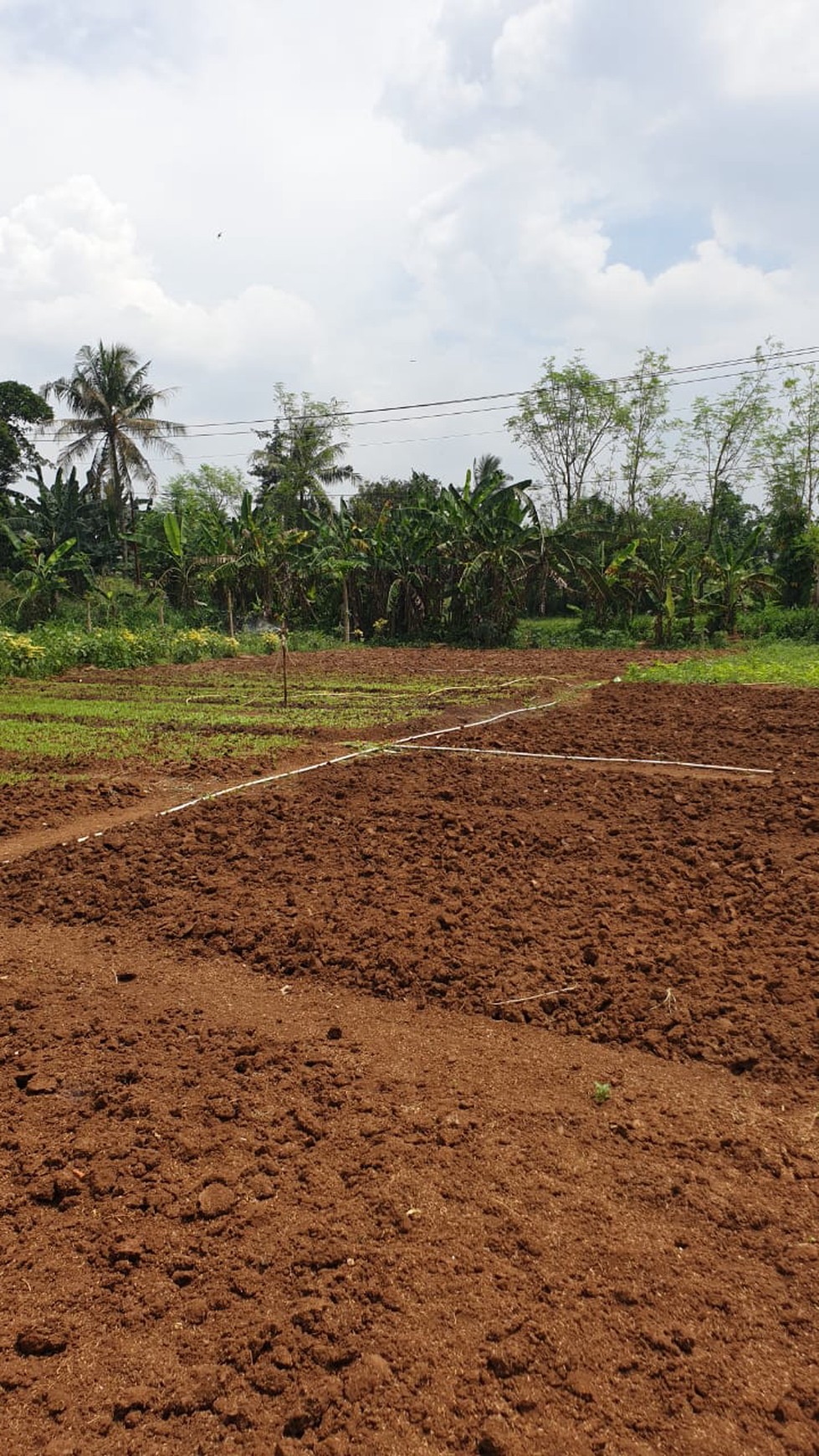 Kavling Strategis di Gunung Sindur Bogor Jawa Barat