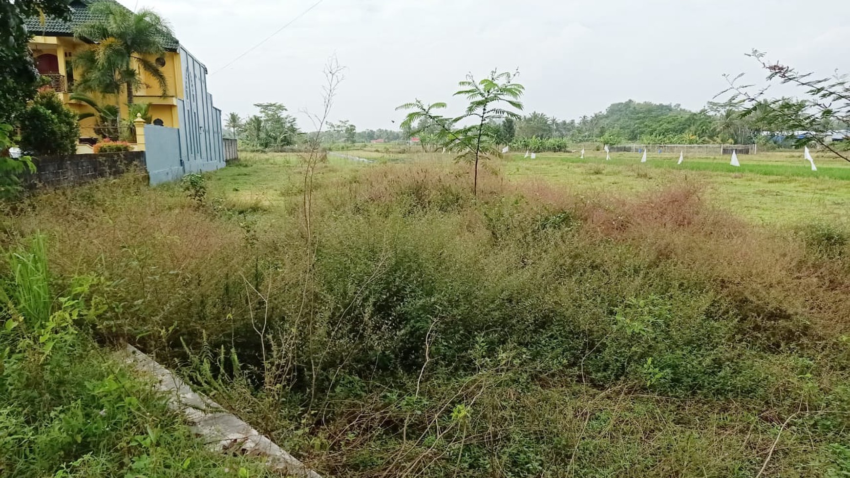 DIJUAL Tanah Sawah strategis di Seyegan  - Sleman