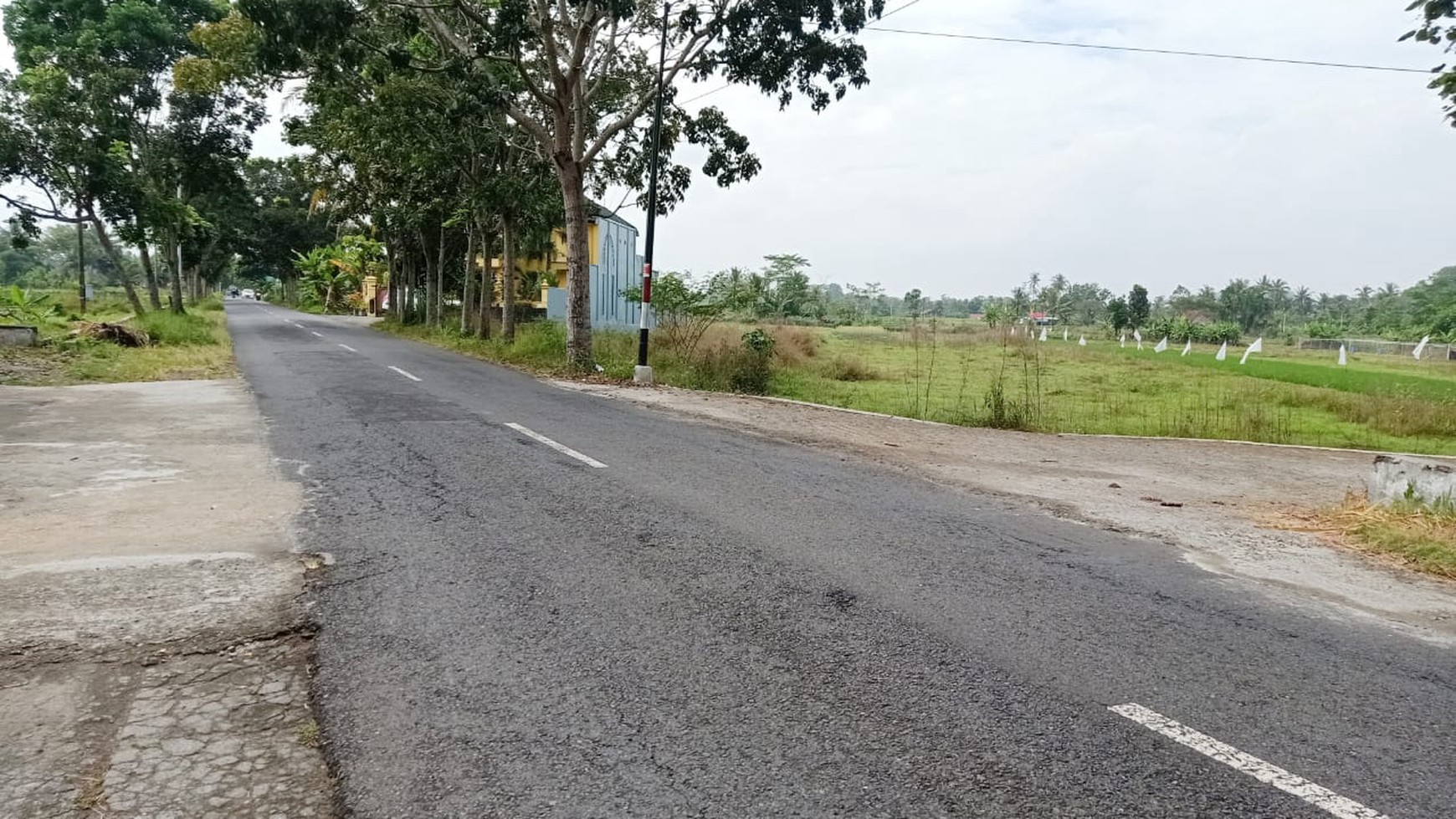 DIJUAL Tanah Sawah strategis di Seyegan  - Sleman