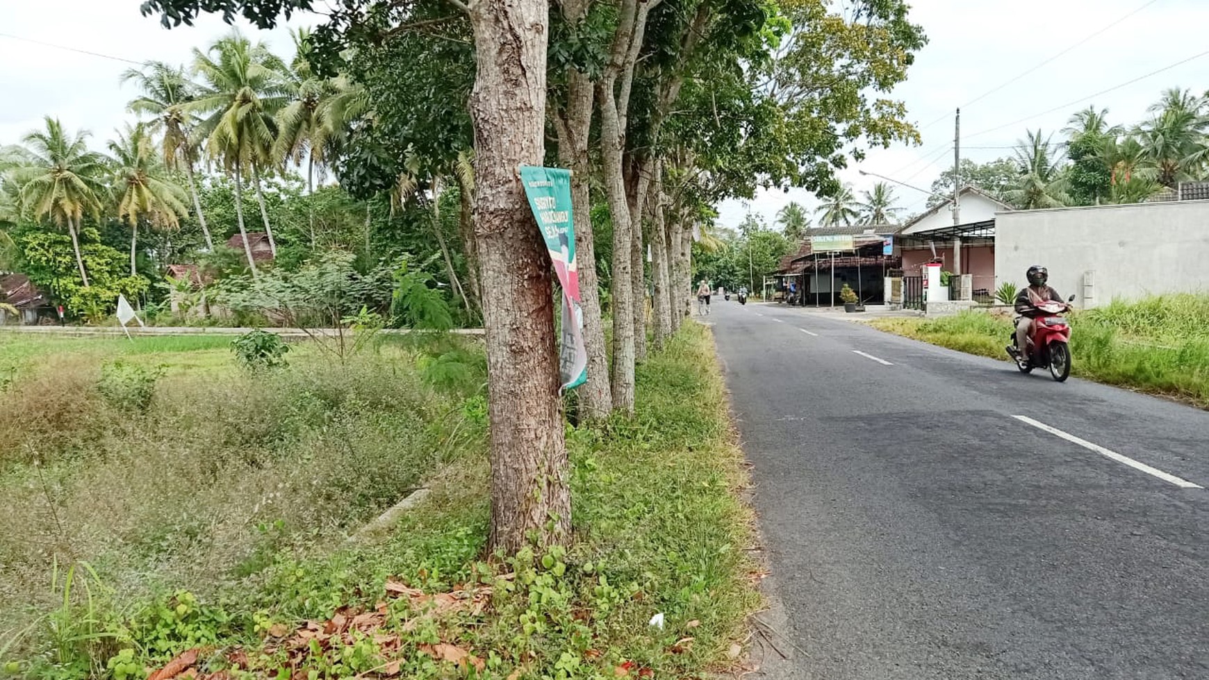 DIJUAL Tanah Sawah strategis di Seyegan  - Sleman