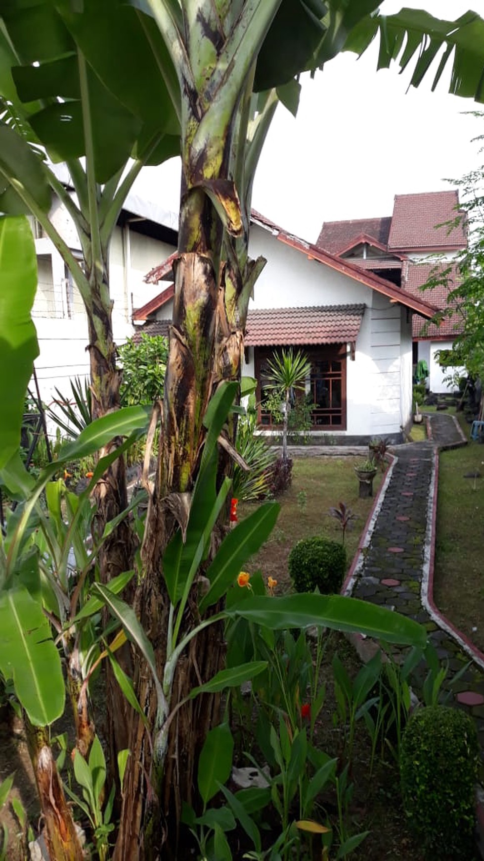 RUMAH+TOKO 6 LANGKAH DARI PASAR GIWANGAN, JL IMOGIRI TIMUR
